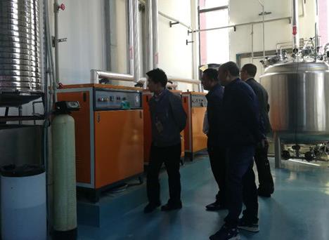 反應釜配套用蒸汽發生器 反應釜配套用蒸汽發生器