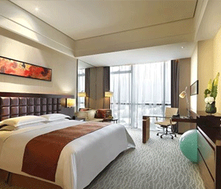 酒店洗衣房購買2臺0.5燃?xì)庹羝l(fā)生器